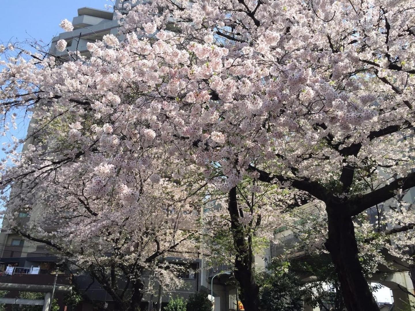 Building A101 / Vacation Stay 1274 Tokyo Ngoại thất bức ảnh